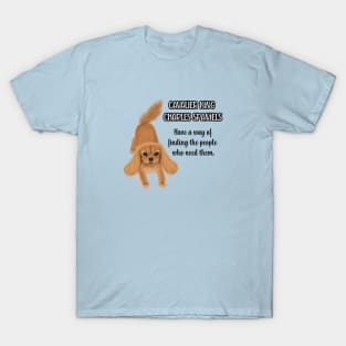 Cavaliers have a way of finding the people who need them. (Ruby) T-Shirt